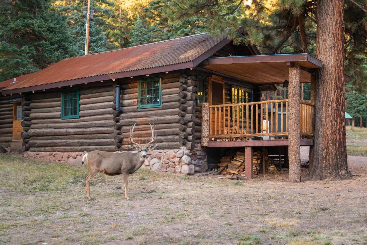Corkins Lodge Chama Zewnętrze zdjęcie