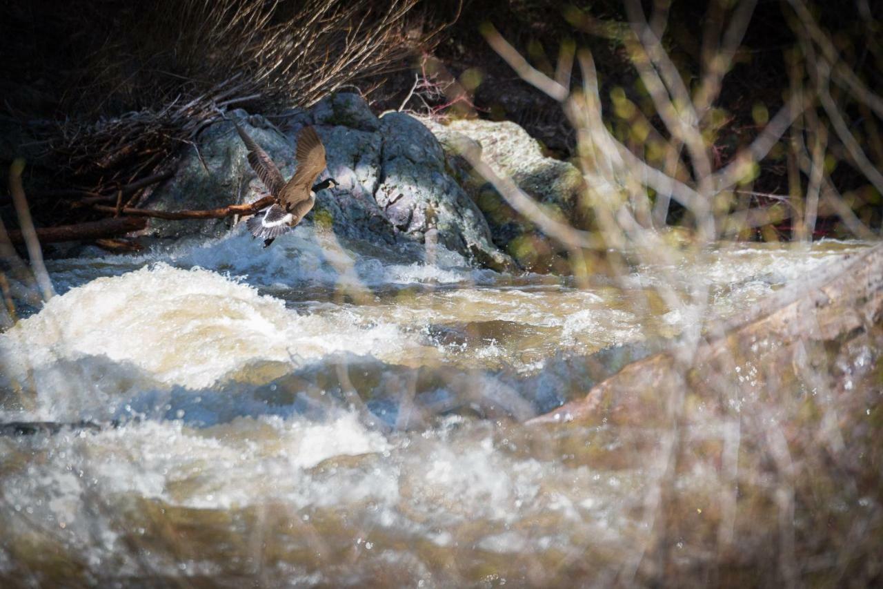 Corkins Lodge Chama Zewnętrze zdjęcie