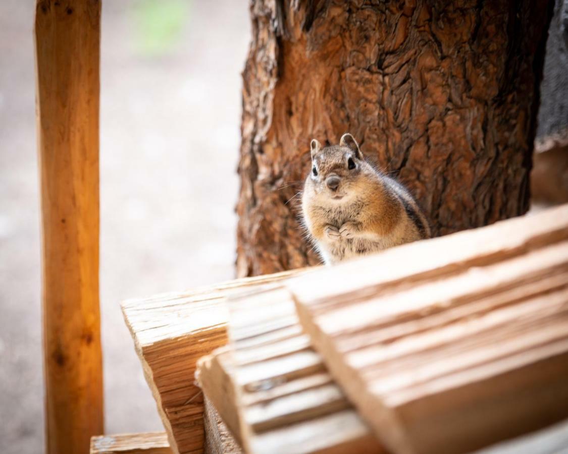 Corkins Lodge Chama Zewnętrze zdjęcie